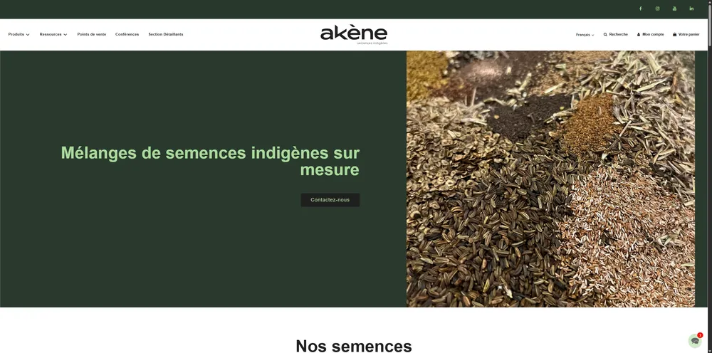 Akène — aperçu du site